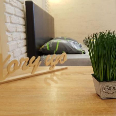 New Luxury Studio Apartment Ивано-Франкивск Екстериор снимка